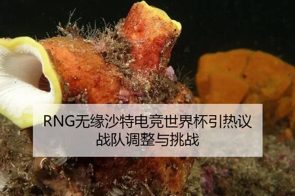 RNG无缘沙特电竞世界杯引热议 战队调整与挑战